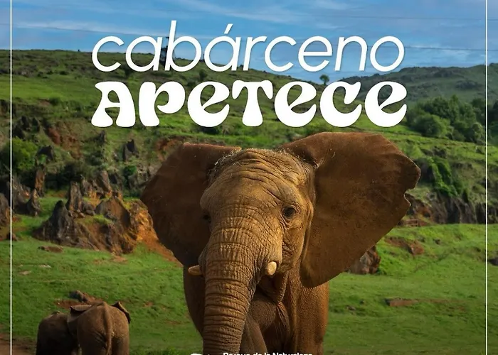 La Casona De Tito * Torrelavega